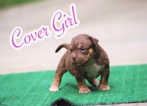Built Ryte Bullies Cover Girl
