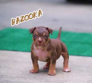 Built-Ryte’s Bazooka 