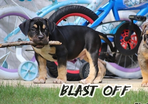 Built-Ryte’s Blast Off