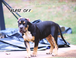 Built-Ryte’s Blast Off