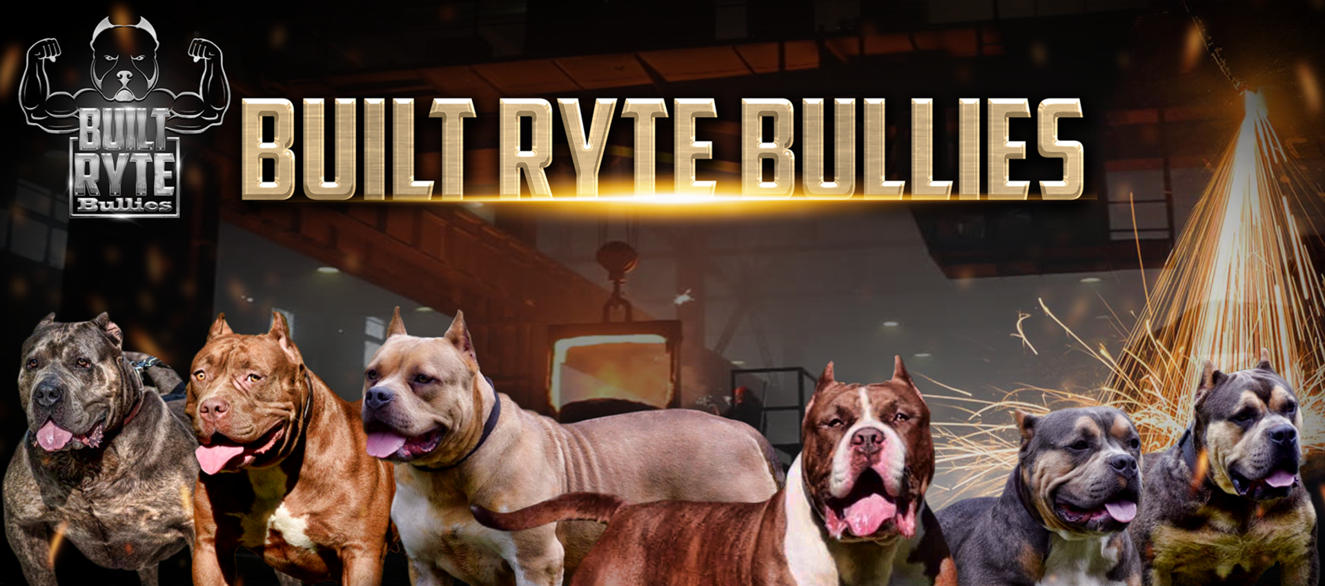 Built Ryte Bullies Banner